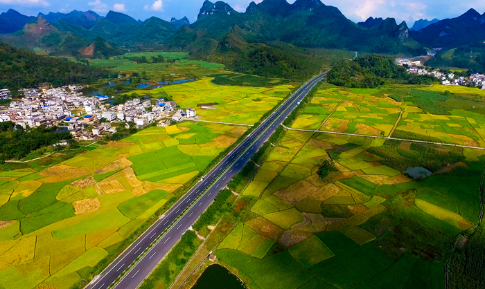 DB电竞(DBGame)官方网站