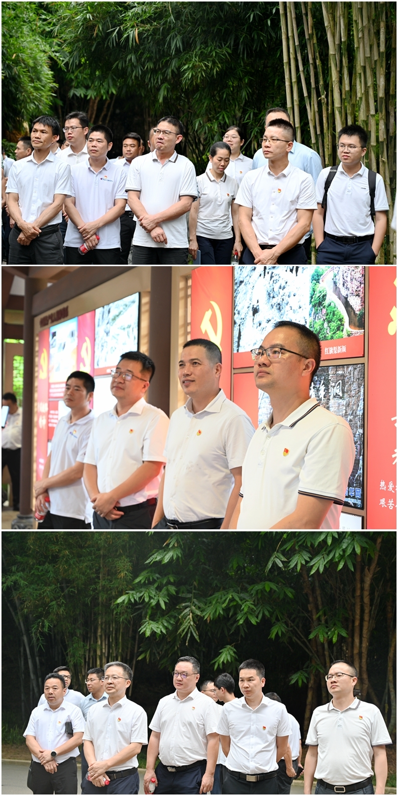 DB电竞(DBGame)官方网站