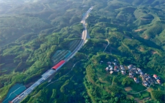 thumb_240_150_20240527101423305