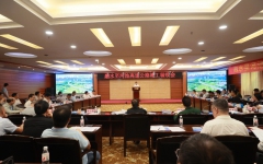 thumb_240_150_20241120044233892