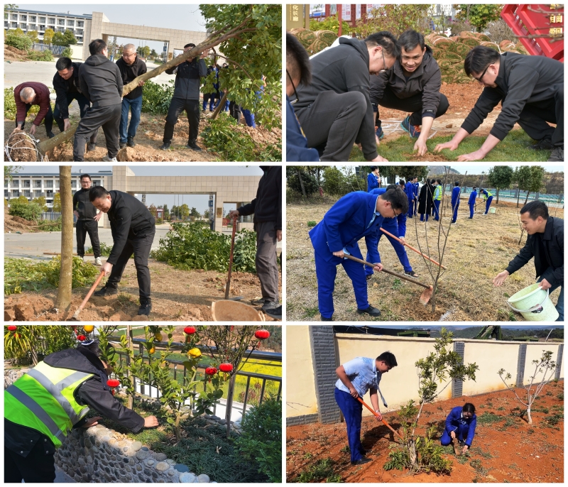 DB电竞(DBGame)官方网站