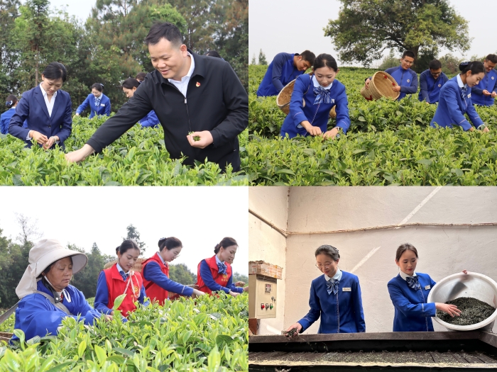 DB电竞(DBGame)官方网站