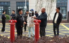 thumb_240_150_20251029115509946